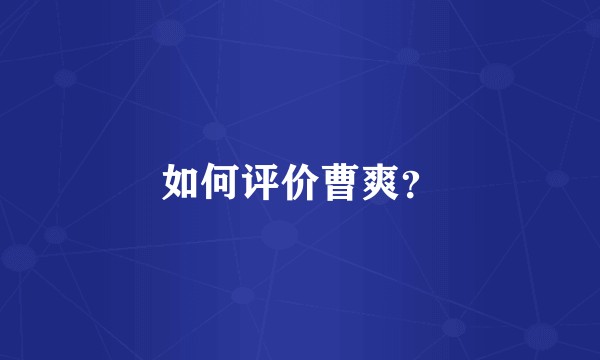 如何评价曹爽？