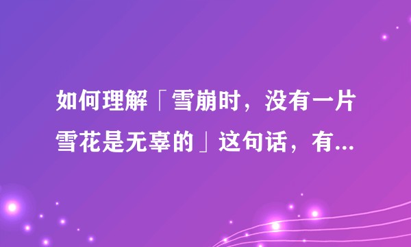 如何理解「雪崩时，没有一片雪花是无辜的」这句话，有没有道理？为什么？
