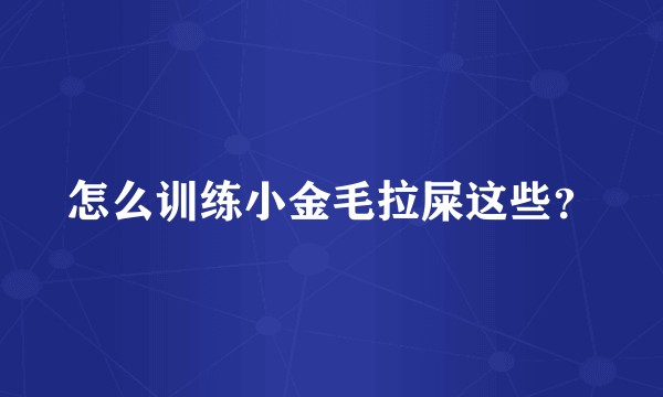 怎么训练小金毛拉屎这些？