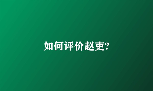 如何评价赵吏?
