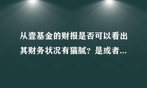 从壹基金的财报是否可以看出其财务状况有猫腻？是或者否的理由是什么？