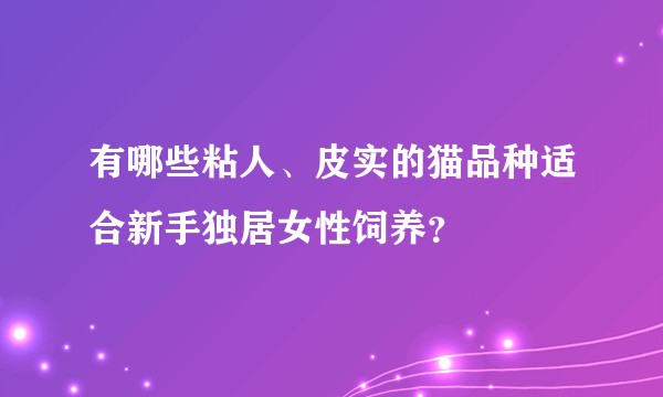 有哪些粘人、皮实的猫品种适合新手独居女性饲养？