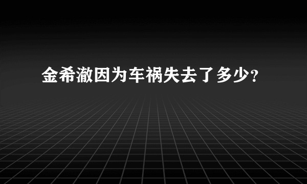 金希澈因为车祸失去了多少？