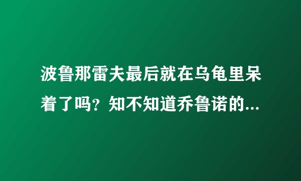 波鲁那雷夫最后就在乌龟里呆着了吗？知不知道乔鲁诺的父亲是dio？