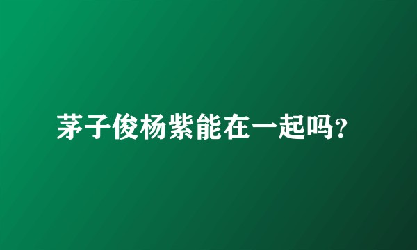 茅子俊杨紫能在一起吗？