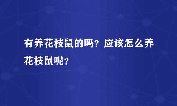 有养花枝鼠的吗？应该怎么养花枝鼠呢？