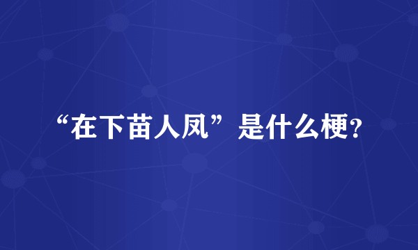 “在下苗人凤”是什么梗？