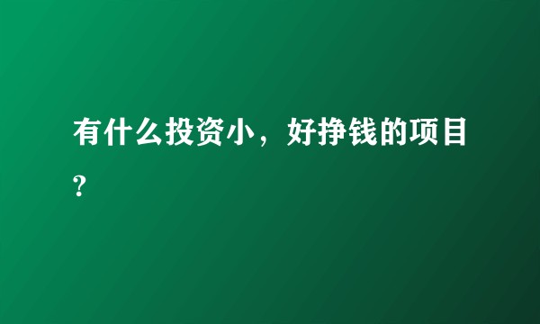有什么投资小，好挣钱的项目?