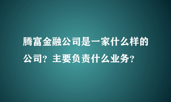 腾富金融公司是一家什么样的公司？主要负责什么业务？