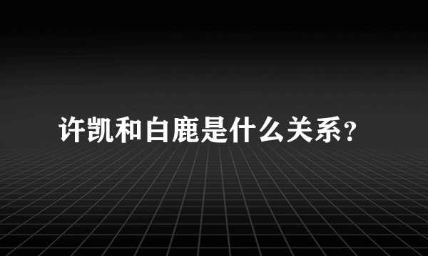 许凯和白鹿是什么关系？
