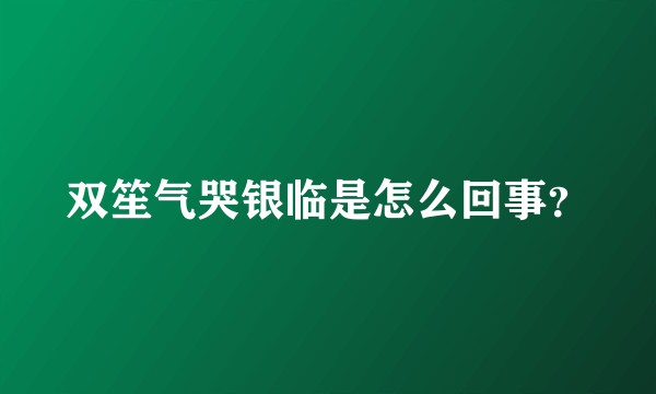 双笙气哭银临是怎么回事？