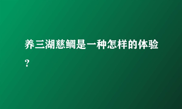 养三湖慈鲷是一种怎样的体验？