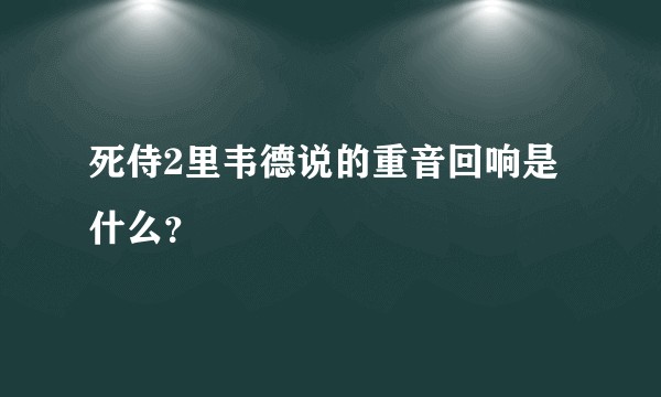 死侍2里韦德说的重音回响是什么？