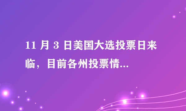 11 月 3 日美国大选投票日来临，目前各州投票情况进展如何？