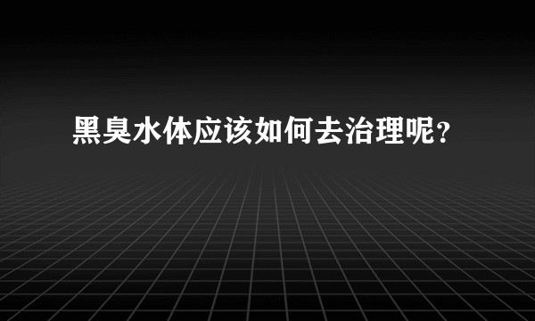 黑臭水体应该如何去治理呢？