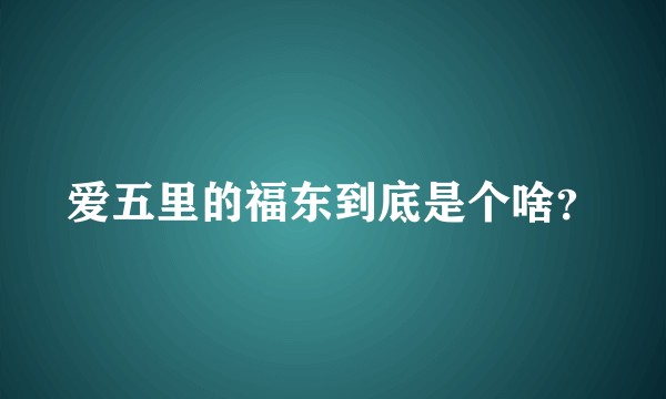爱五里的福东到底是个啥?