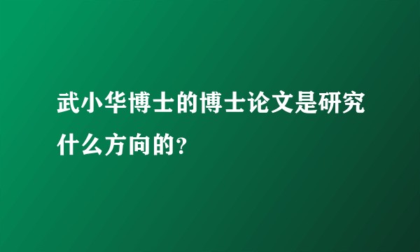 武小华博士的博士论文是研究什么方向的？