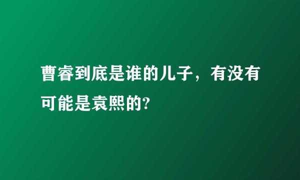 曹睿到底是谁的儿子，有没有可能是袁熙的?