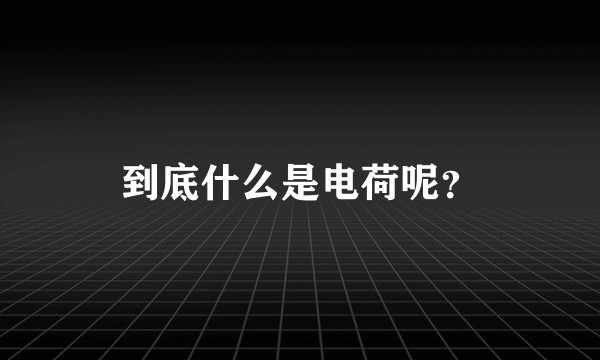 到底什么是电荷呢？