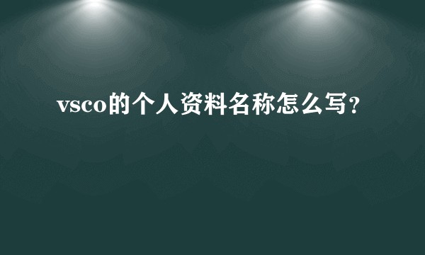 vsco的个人资料名称怎么写？