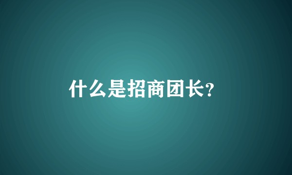 什么是招商团长？