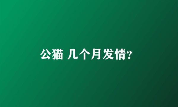 公猫 几个月发情？