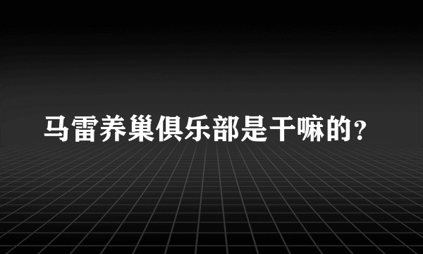 马雷养巢俱乐部是干嘛的？