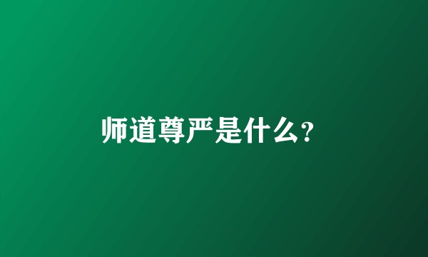 师道尊严是什么？