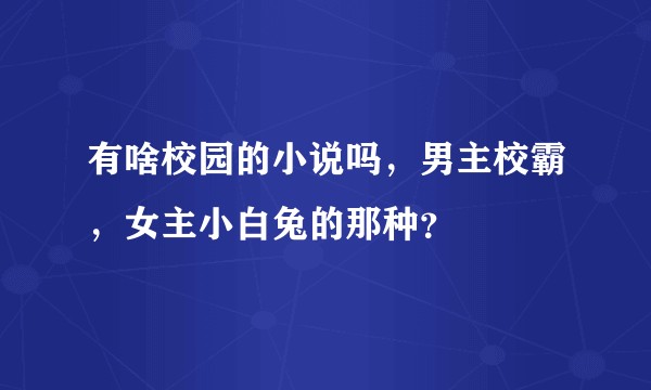 有啥校园的小说吗，男主校霸，女主小白兔的那种？