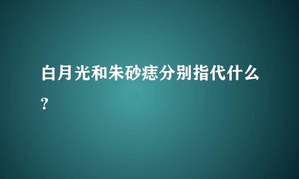 白月光和朱砂痣分别指代什么？