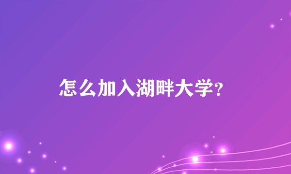 怎么加入湖畔大学？