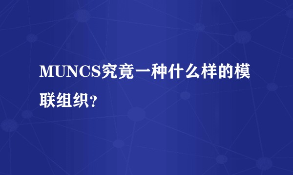 MUNCS究竟一种什么样的模联组织？