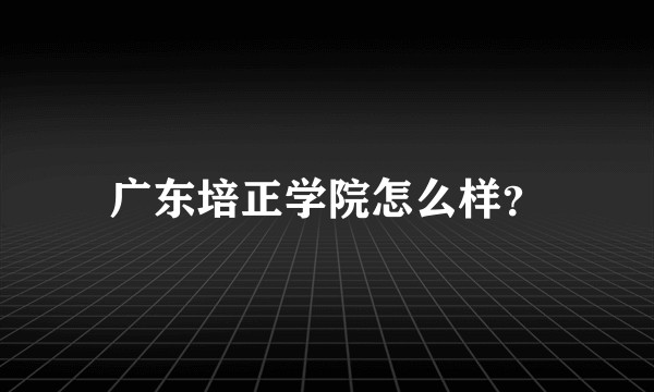 广东培正学院怎么样？