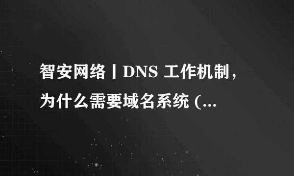 智安网络丨DNS 工作机制，为什么需要域名系统 (DNS)？