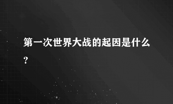 第一次世界大战的起因是什么？