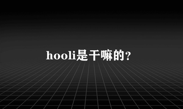 hooli是干嘛的？