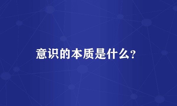 意识的本质是什么？