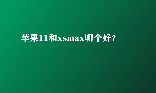 苹果11和xsmax哪个好？