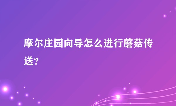 摩尔庄园向导怎么进行蘑菇传送？