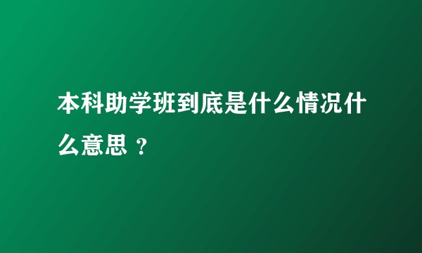 本科助学班到底是什么情况什么意思 ？