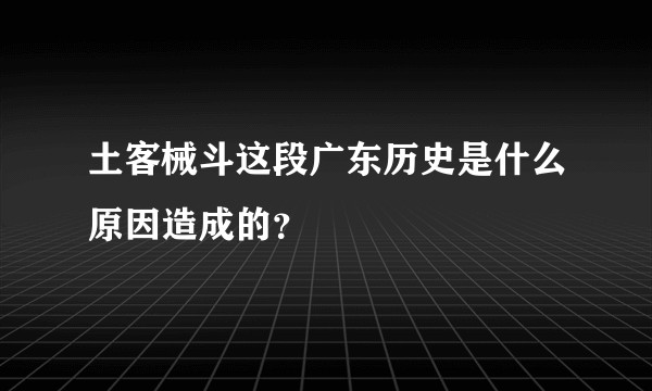 土客械斗这段广东历史是什么原因造成的？
