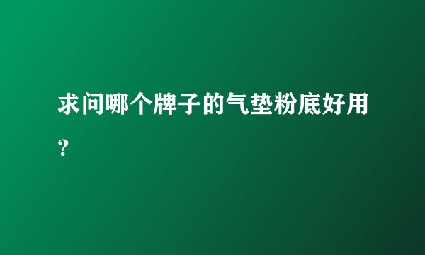 求问哪个牌子的气垫粉底好用？