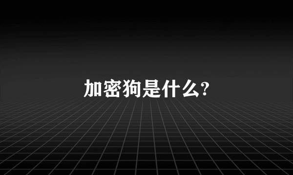 加密狗是什么?