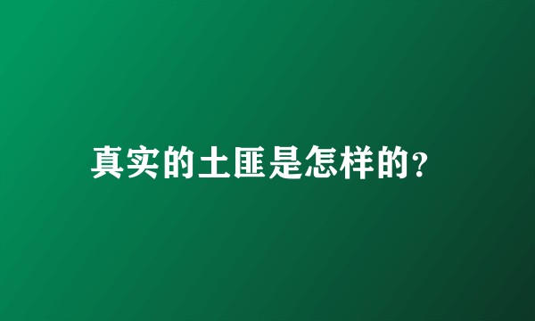真实的土匪是怎样的？