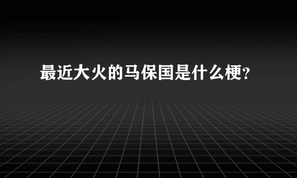 最近大火的马保国是什么梗?