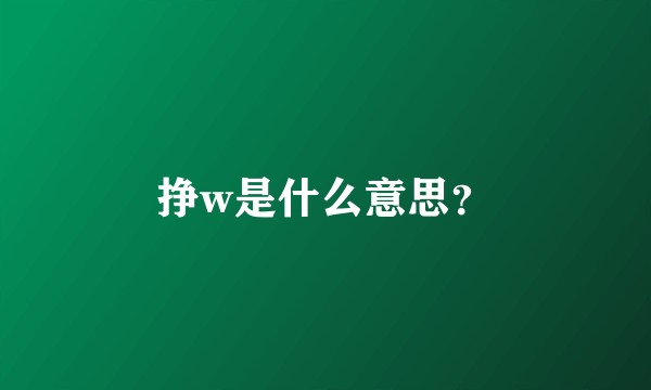 挣w是什么意思？