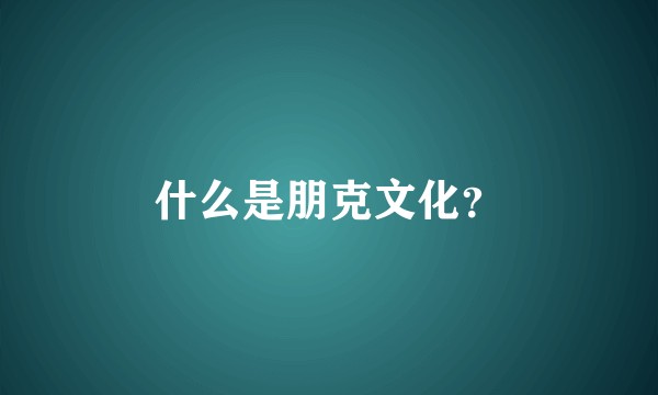 什么是朋克文化？