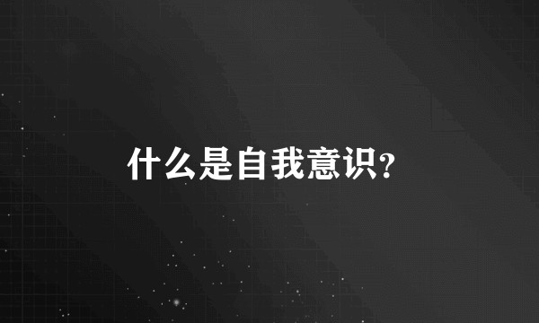 什么是自我意识？