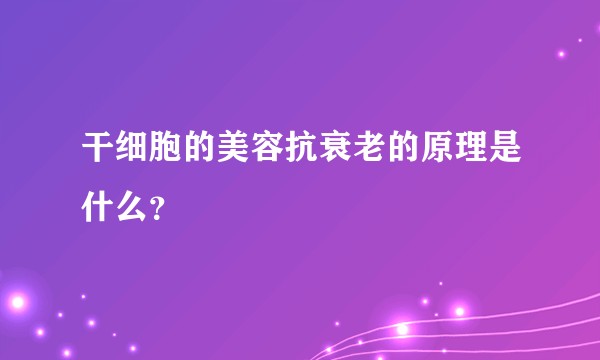 干细胞的美容抗衰老的原理是什么？