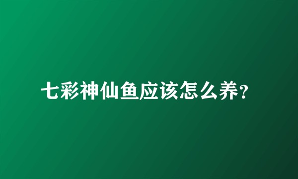 七彩神仙鱼应该怎么养？